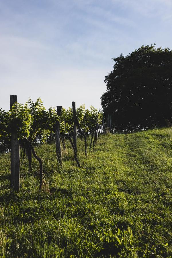 ロイトシャッハ Weingut Peter Grill Bed & Breakfast エクステリア 写真